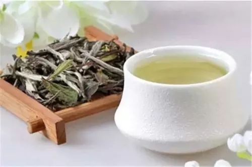 白茶为什么被称为“茶中瑰宝”？