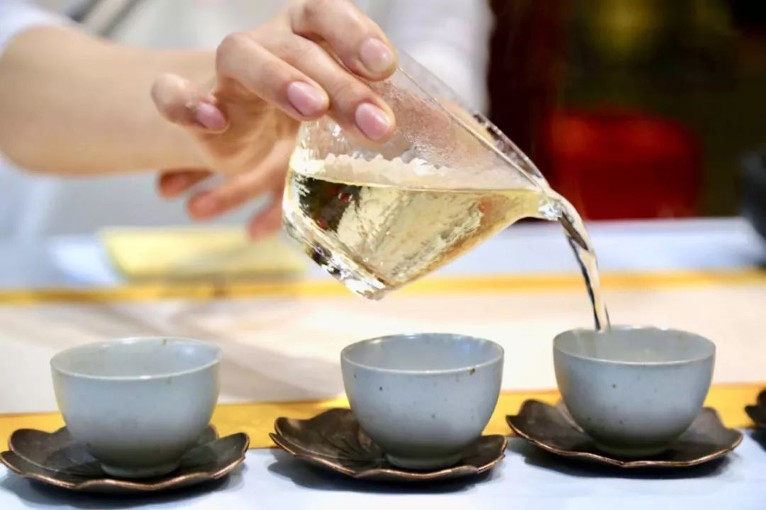 你真的懂白茶的“毫”吗？