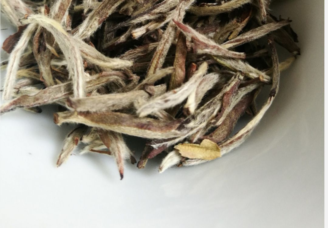 “红玛瑙”是什么？工艺改良过的白茶有收藏的必要么？
