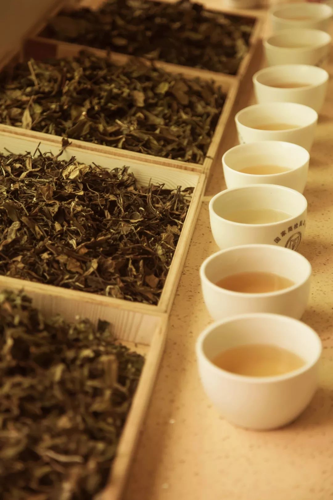 白茶学堂|这种改变茶汤颜色的物质，堪称“软黄金”！