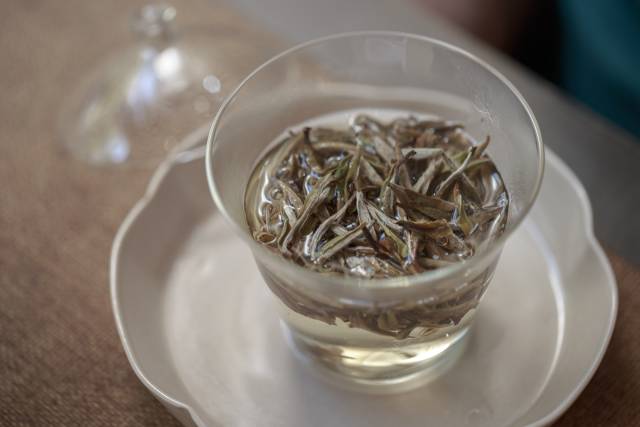 关于茶知识丨为什么高山白茶更好？