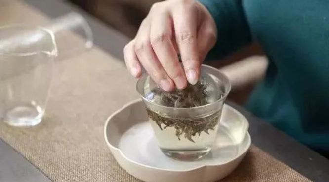 关于茶知识丨为什么高山白茶更好？