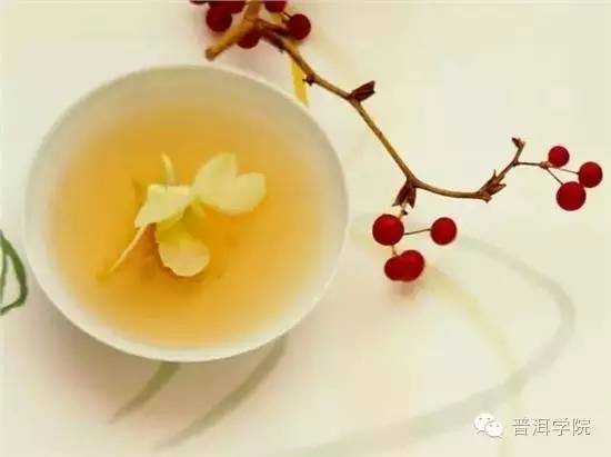 春季养生喝白茶