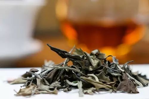 白茶，它是落入凡间的珍宝；全球药用100年，国人却忽视她。