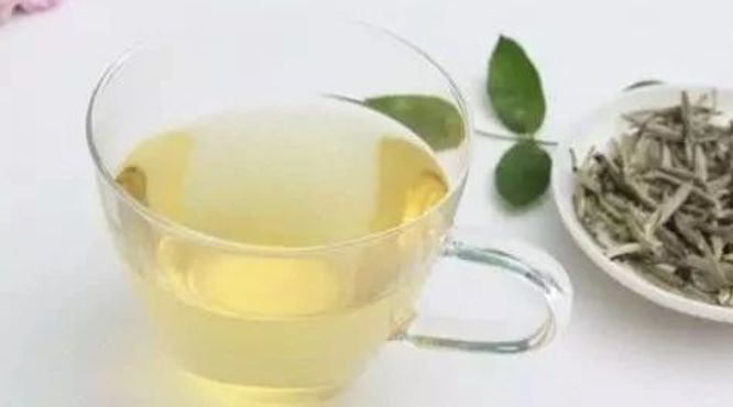 白茶为什么被称为“万病之药”？