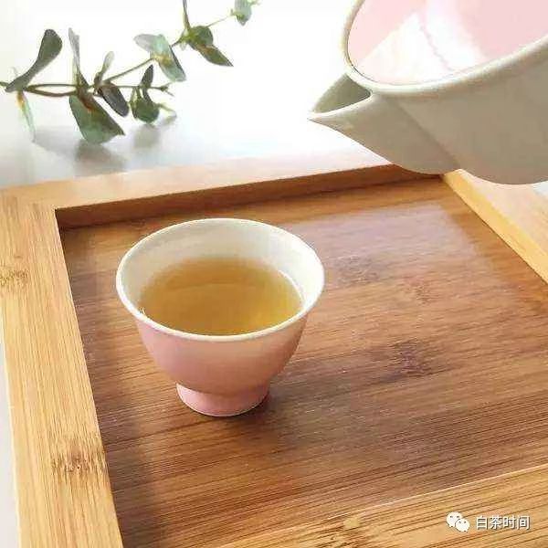 关于白茶的文化：喝白茶很养生，贵在长期坚持