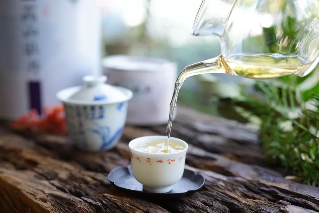 茶知识丨白茶知识问答，白茶有什么功效