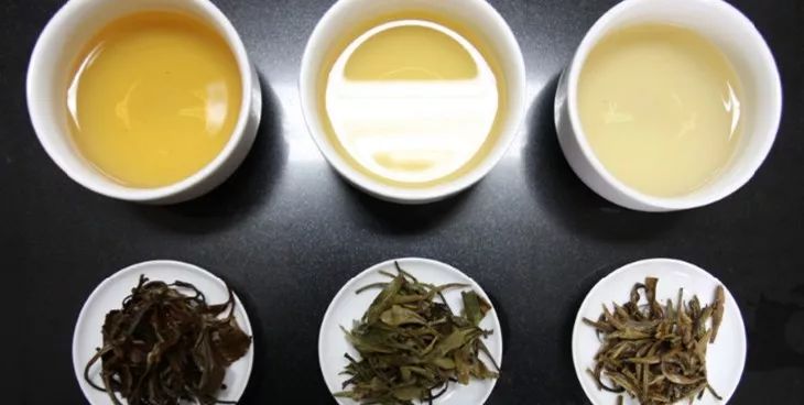 白茶功效丨白茶非药，却是生命之茶！