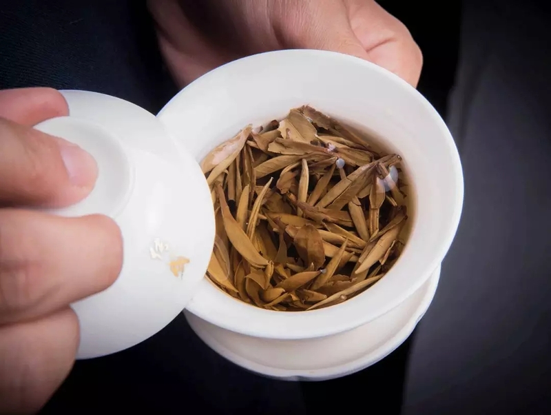 揭秘｜为何知名护肤品都钟情于中国白茶？