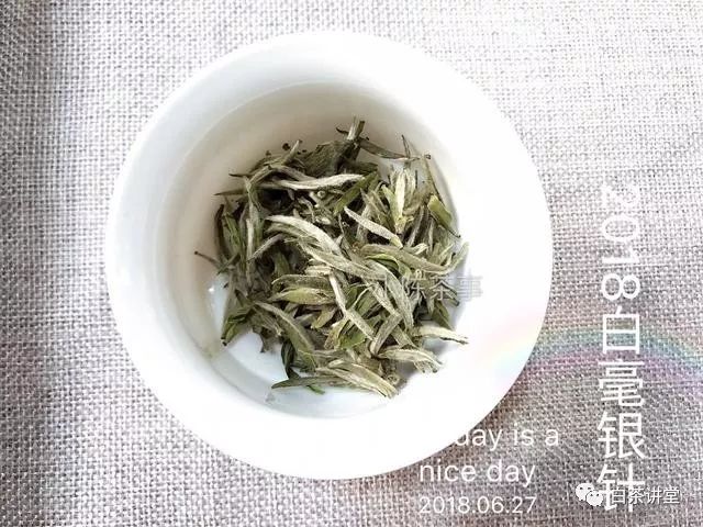 2019年绿茶、黑茶、白茶、红茶、乌龙茶、黄茶上市时间