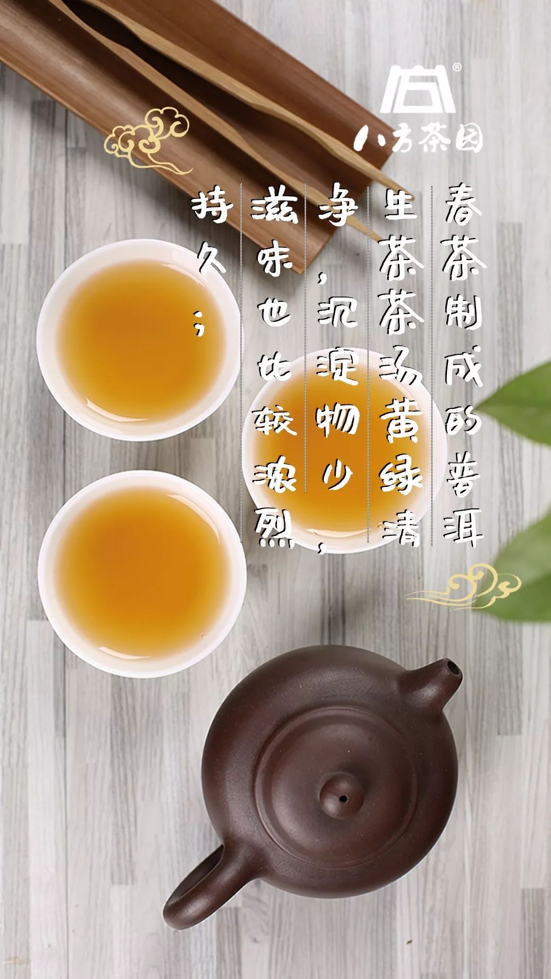 【八方学堂】普洱春茶，知道怎么鉴别吗？