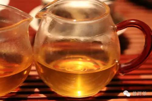 普洱古树茶与台地茶的鉴别