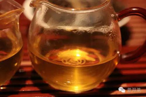 普洱古树茶与台地茶的鉴别