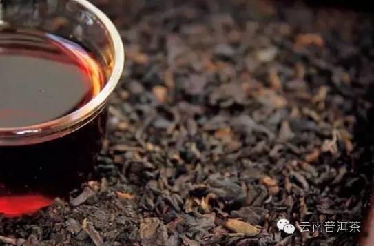 都说普洱是养生茶，中医告诉你它到底有什么功效！