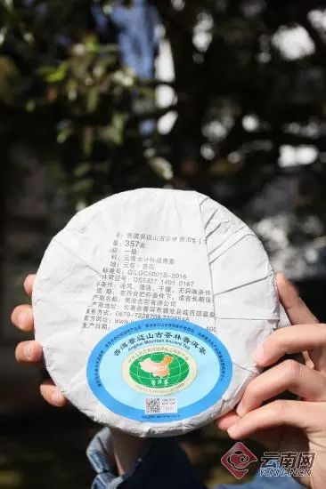 【行业】再推“名山名茶”今年普洱市将打造无量山、千家寨等4座古茶山