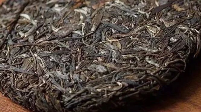 易武普洱——山山有茶树，寨寨都种茶