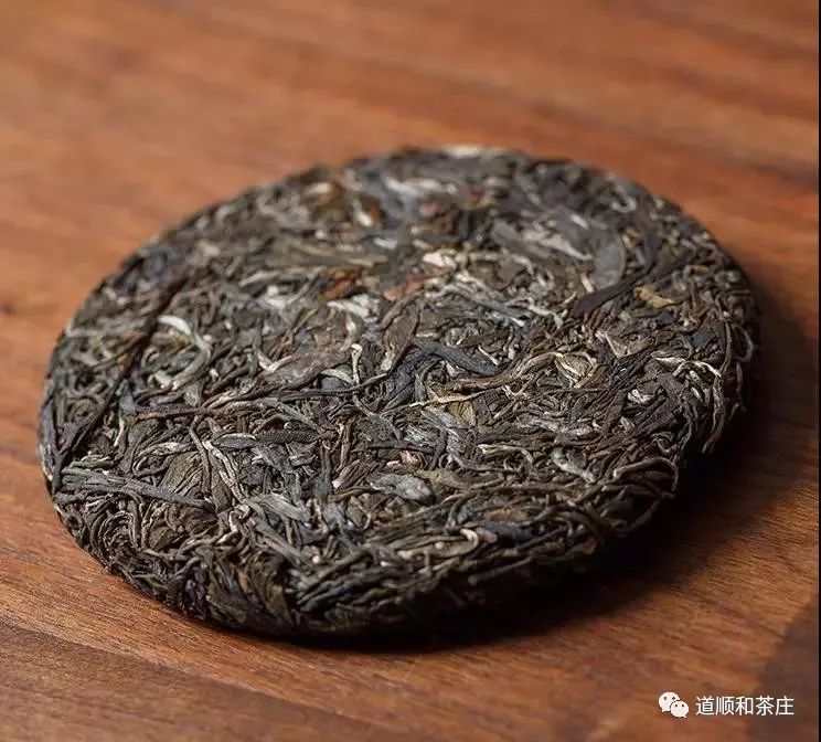 易武普洱——山山有茶树，寨寨都种茶