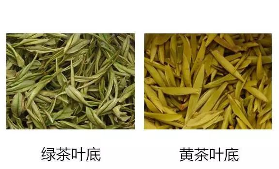 黄茶绿茶如此相似，应该如何区分？