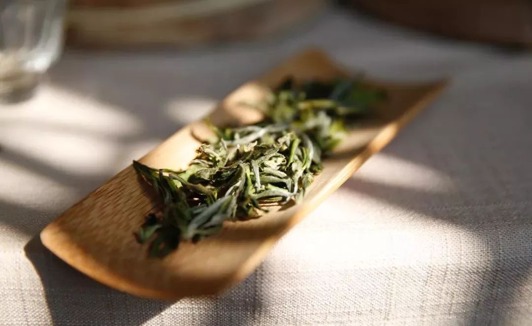 新鲜绿茶如何正确保存？