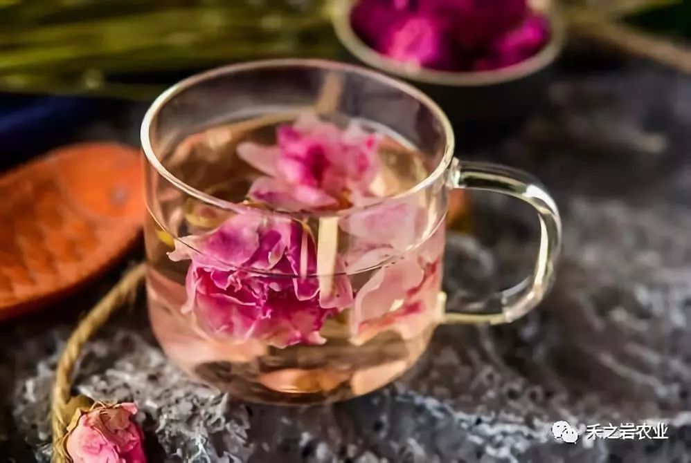 【分享】带花的茶都是花茶吗？