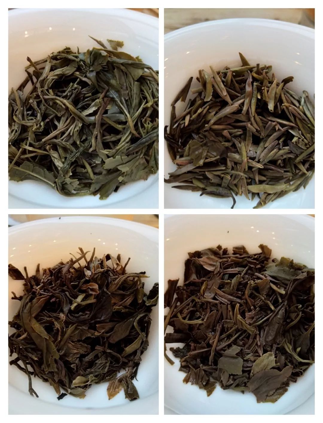 学茶|黄茶，怎样区分黄茶黄茶适宜人群
