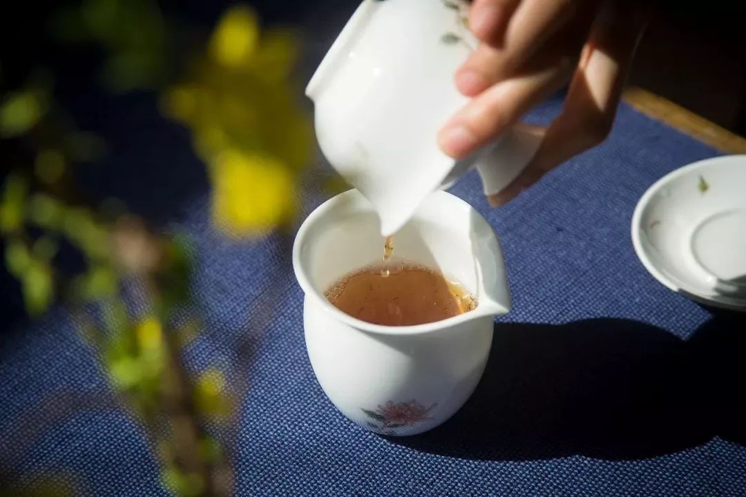 茶知识|乌龙茶分类怎么分