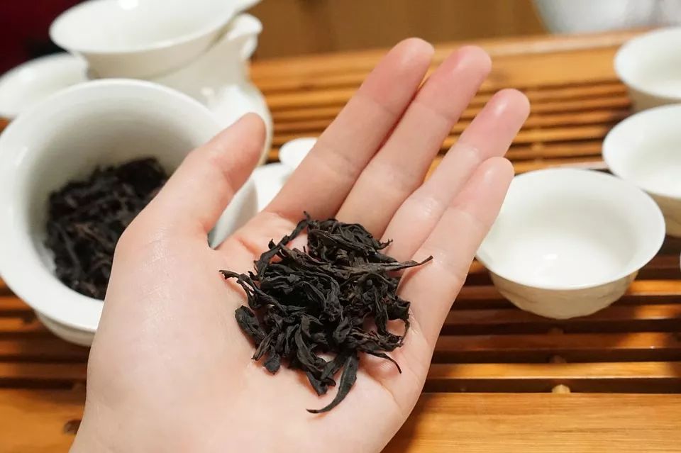 学茶：“六茶详解”之青茶：青茶？我怎么从来没喝过