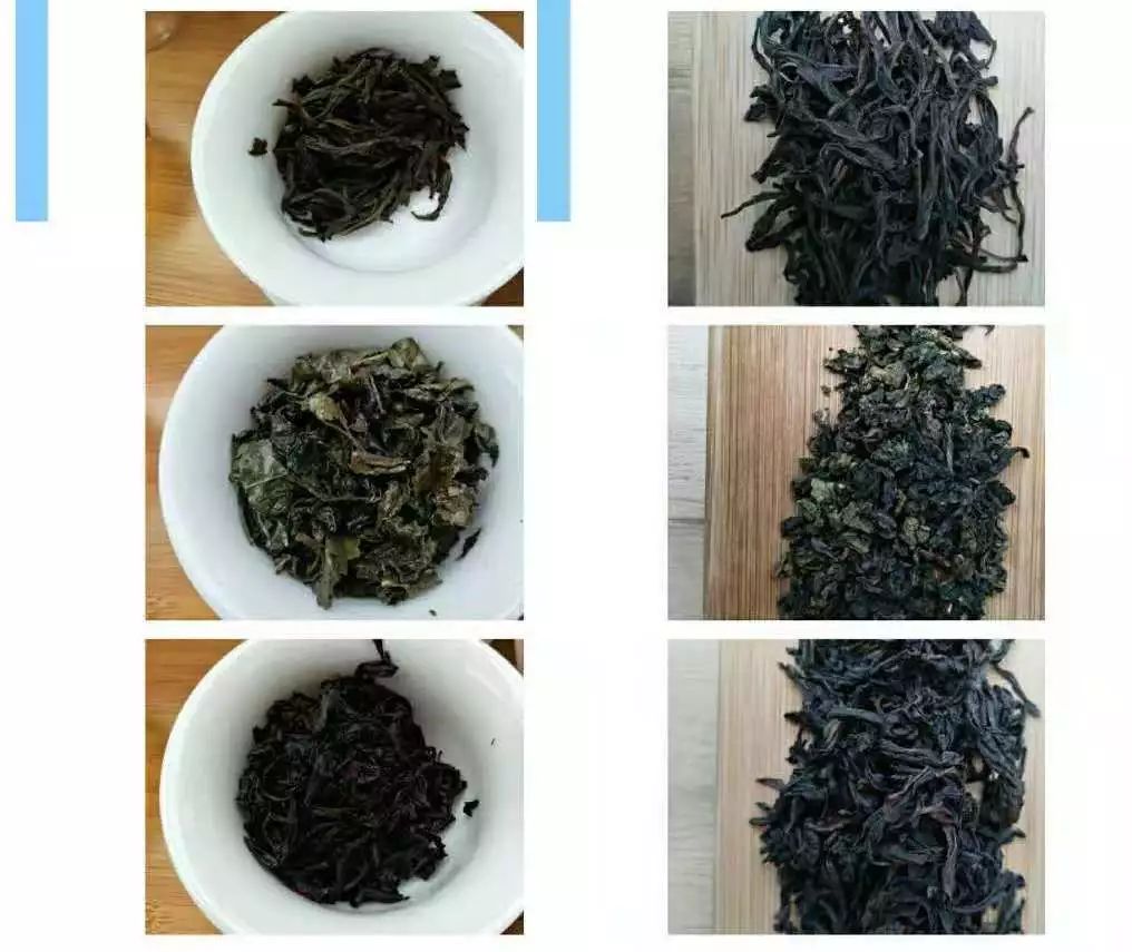 宽和习茶|乌龙茶