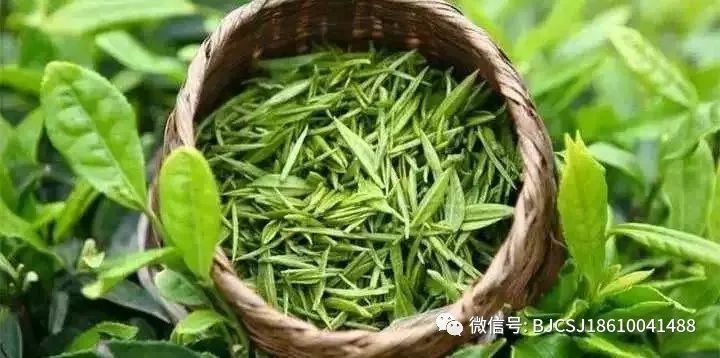 【春茶市场】新买的绿茶，最好先放半个月？