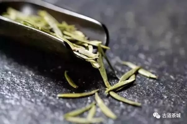 古道茶城|绿茶的16个冷知识，你知道吗？