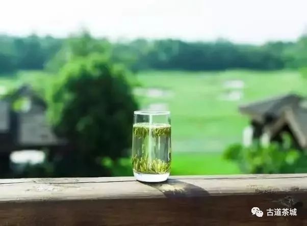 古道茶城|绿茶的16个冷知识，你知道吗？