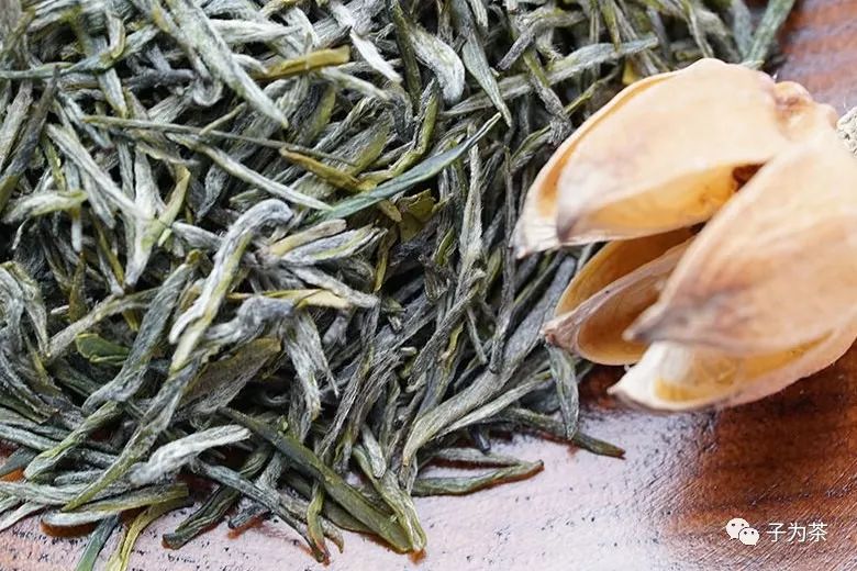 郭子涵·学茶：初识南京雨花茶-松针形特种绿茶