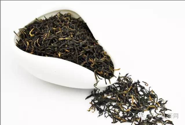 红茶和绿茶喝哪个更好，有什么区别