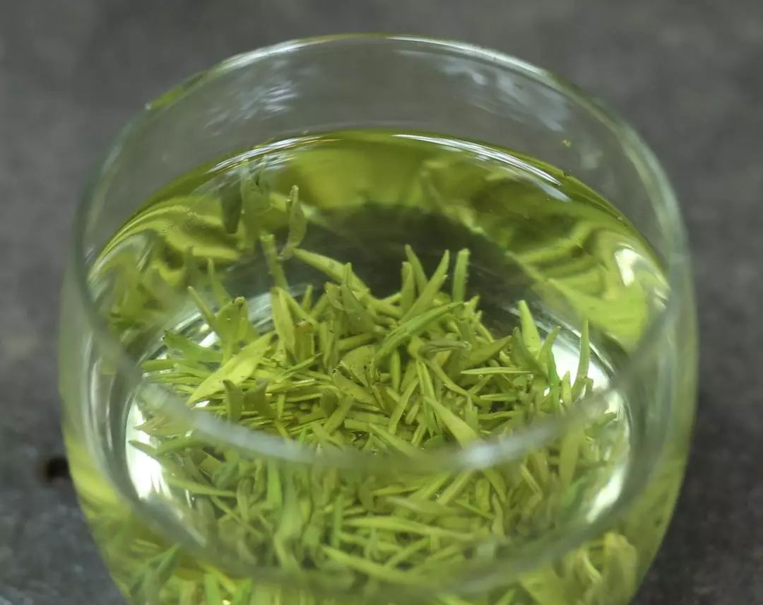 【名茶百科】仰天雪绿是什么茶？是绿茶吗