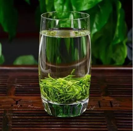 茶知识科普——绿茶篇