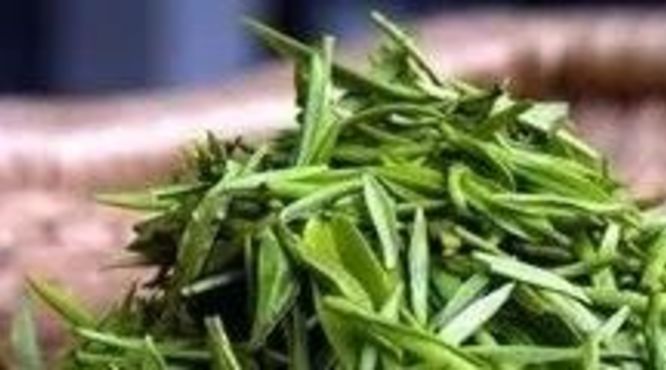 茶知识科普——绿茶篇