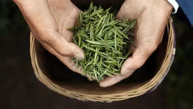 绿茶的9大保健功效（建议收藏）