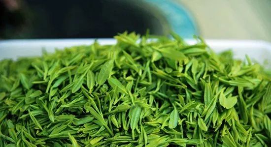绿茶丨绿茶具有提神清心、清热解暑等功效