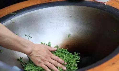 绿茶丨绿茶具有提神清心、清热解暑等功效