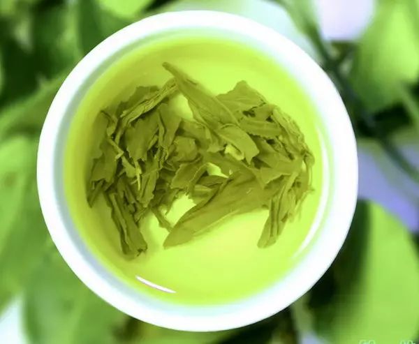 夏天，一定可以喝绿茶吗？