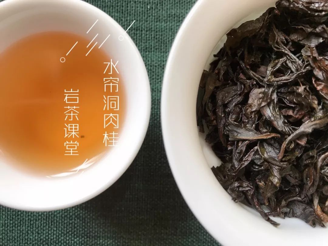 常喝绿茶的茶友，入门喝岩茶，选什么茶合适？