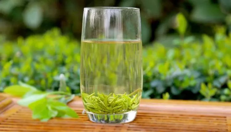 绿茶的“留根泡”，你知道应该怎么泡吗？
