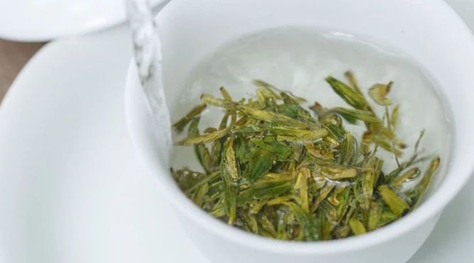 茶事｜绿茶的“留根泡”，你知道应该怎么泡吗？