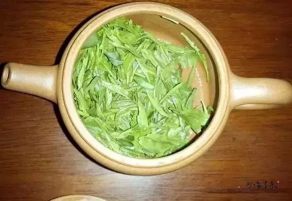 你有用紫砂壶泡过绿茶吗？能不能泡？