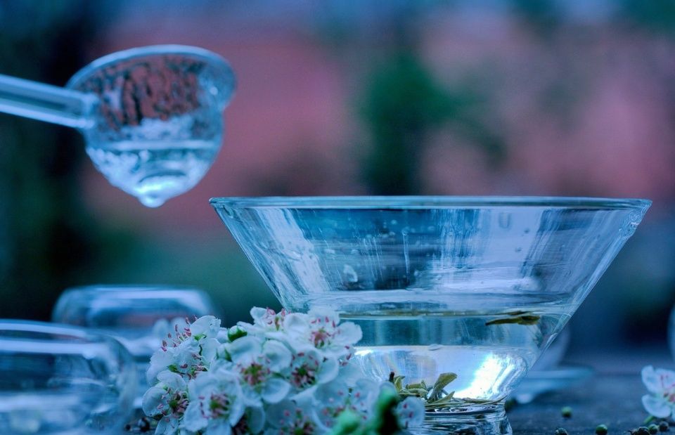 碗泡茶，这个春天最流行的绿茶冲泡方式