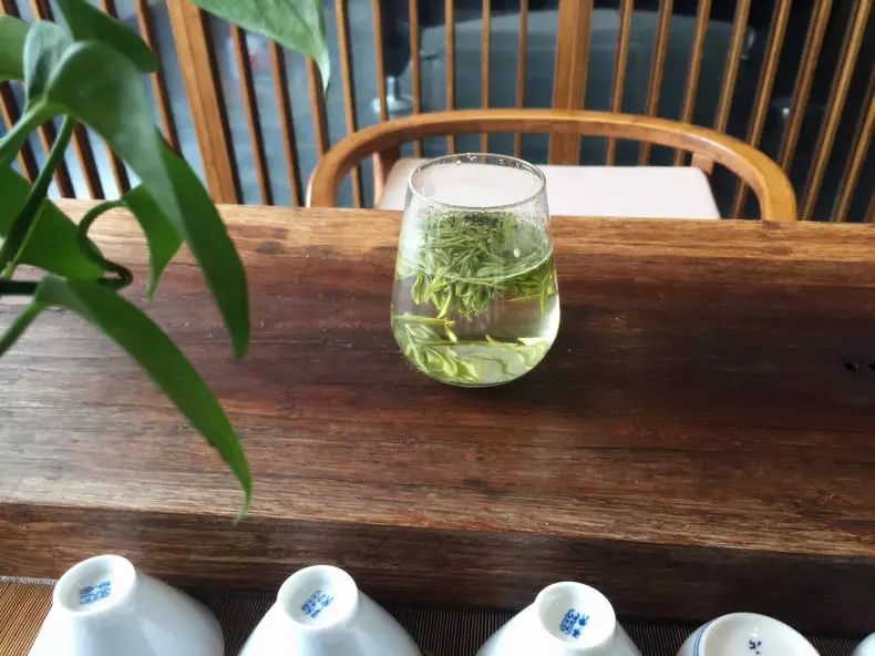 绿茶龙井怎样泡才更好喝？