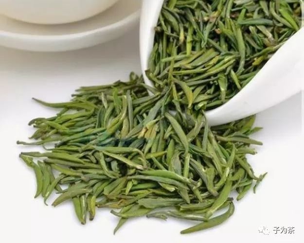 初识开化龙顶-松针形特种绿茶