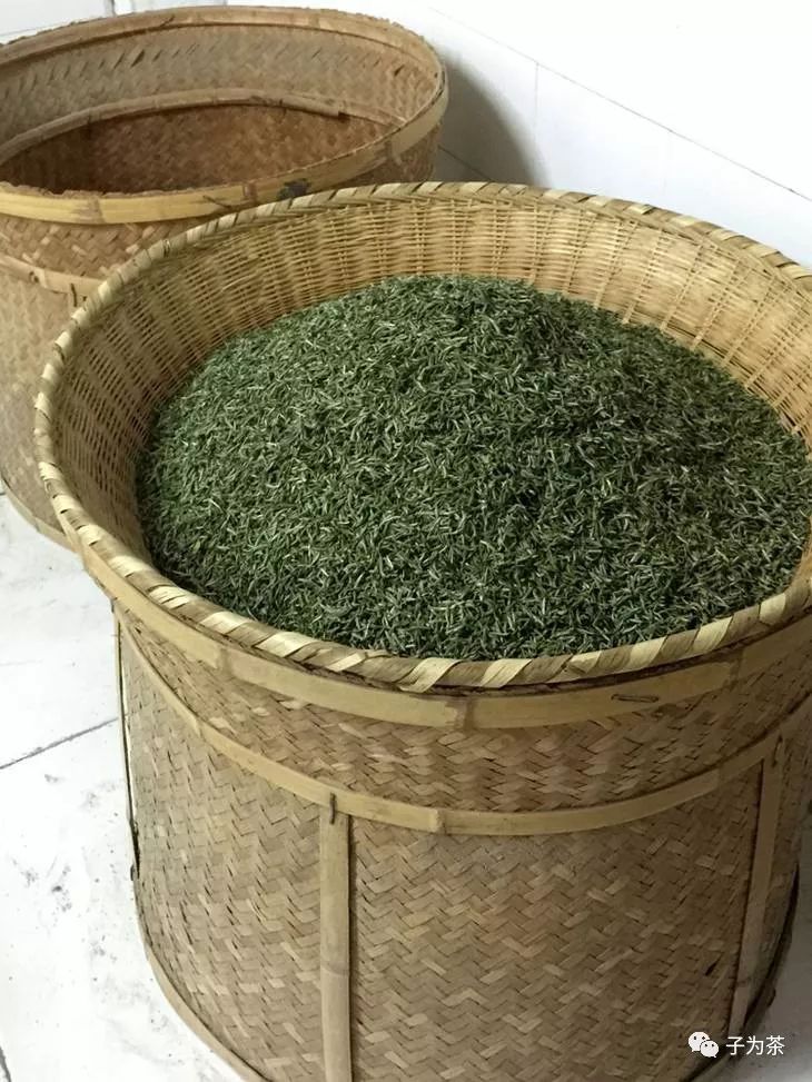 初识开化龙顶-松针形特种绿茶