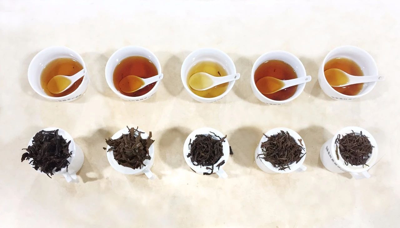 小种红茶甄别