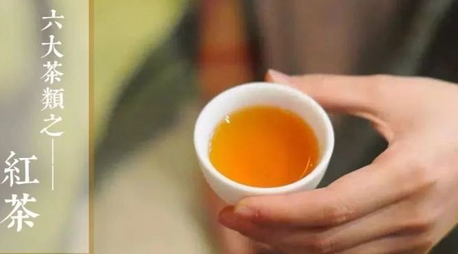 徐亚和解说红茶|“蜜香带锐”的红茶就是好红茶